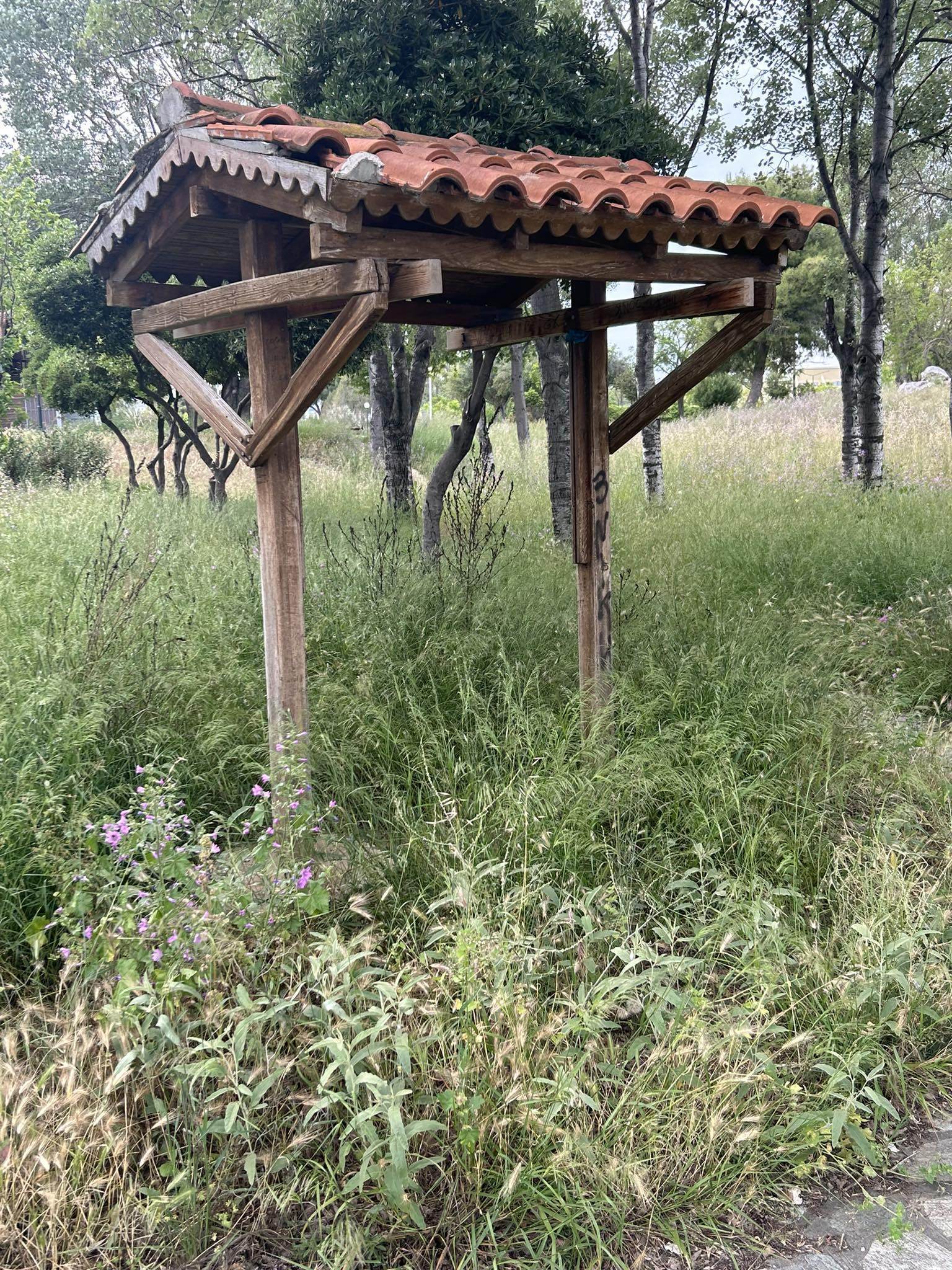 ΕΛΙΚΟΔΡΟΜΙΟ 1