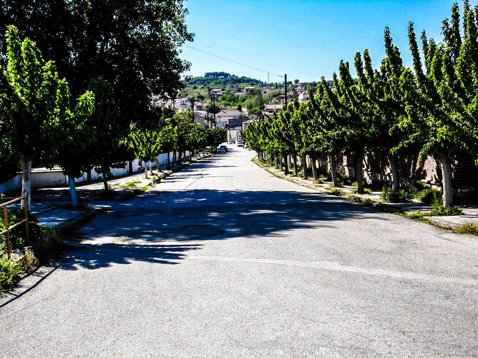 Στο Σουφλί το 1ο Φεστιβάλ Μουριάς