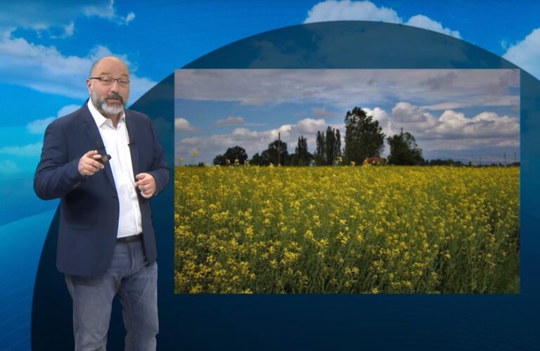 Ο καιρός με τον Σάκη Αρναούτογλου: Περιορίζονται στα δυτικά και νότια οι μπόρες – Καλοκαιρία το τριήμερο του Αγίου Πνεύματος (video)
