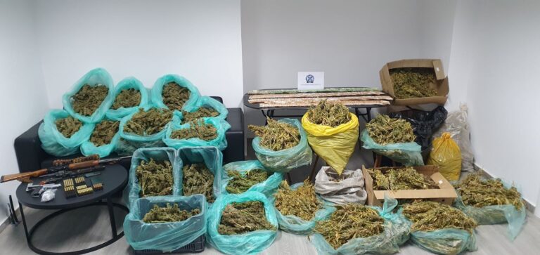 Ηράκλειο: Αναζητούν τον άλλο αδερφό για τις φυτείες της κάνναβης στη Μεσαρά – Διώξεις στους εμπλεκόμενους για κατ’ επάγγελμα διακίνηση ναρκωτικών (photos/video)