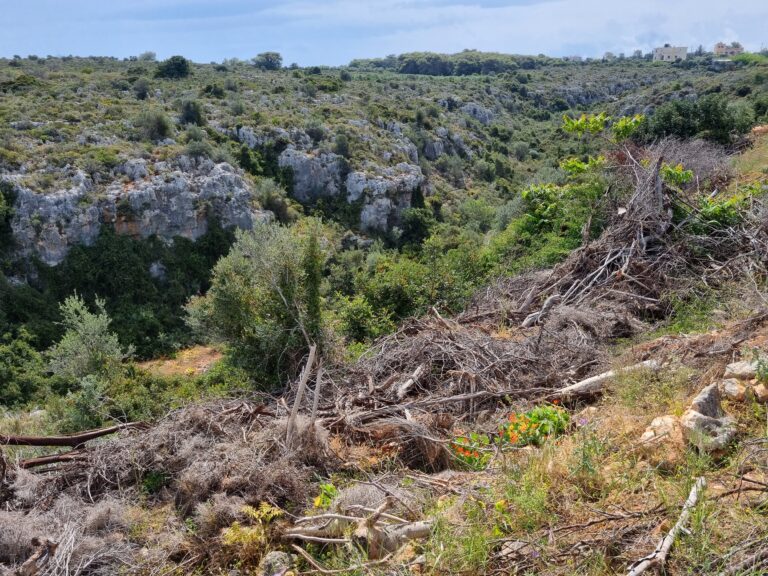 Ρέθυμνο: Απαγόρευση κυκλοφορίας στα φαράγγια και στις πεζοπορικές διαδρομές λόγω του σεισμού