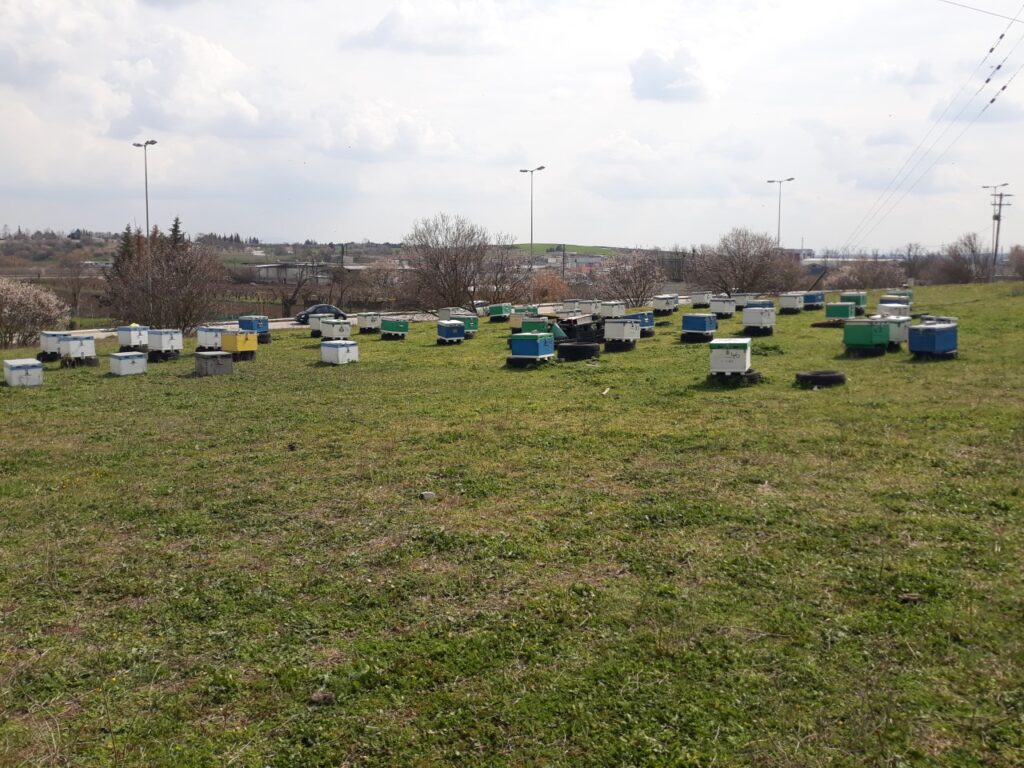 Υποβολή αιτήσεων για αντικατάσταση κυψελών και οικονομική στήριξη της νομαδικής μελισσοκομίας