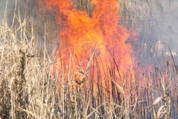 Ηράκλειο: Πυρκαγιά σε περιοχή με χαμηλή βλάστηση στο Σινάπι