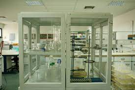 Πανεπιστήμιο Θεσσαλίας: Μπάρες και τσιπς εντομοπρωτεΐνης από το Εργαστήριο Εντομολογίας στο ράφι του καταστήματος (video)