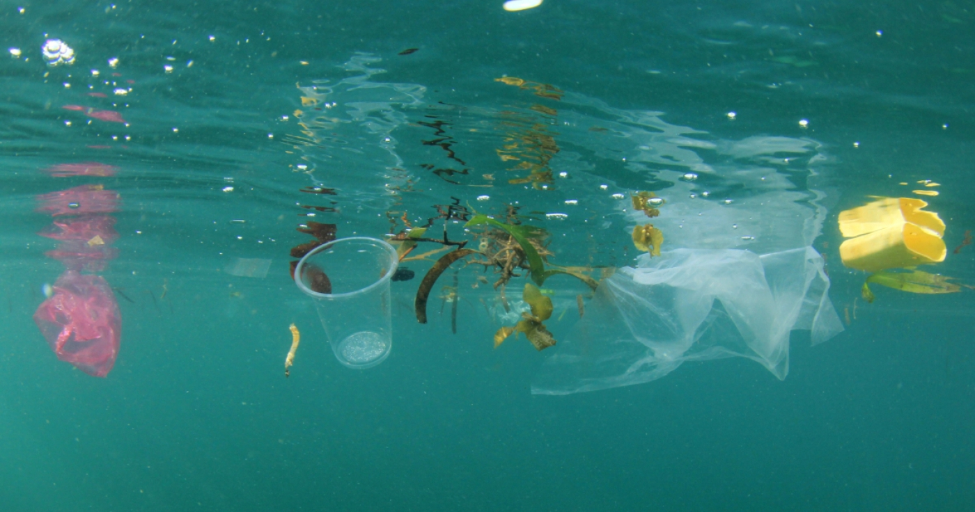 Γερμανία: Συστήματα ανίχνευσης πλαστικών απορριμμάτων στους ωκεανούς, από το Ερευνητικό Κέντρο για την Τεχνητή Νοημοσύνη (DFKI)
