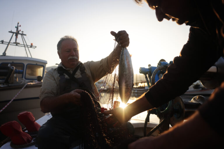 «Δεν είμαστε πια μόνοι»: Οι ψαράδες της Αμοργού έδειξαν τον δρόμο για καθαρές θάλασσες γεμάτες ψάρια