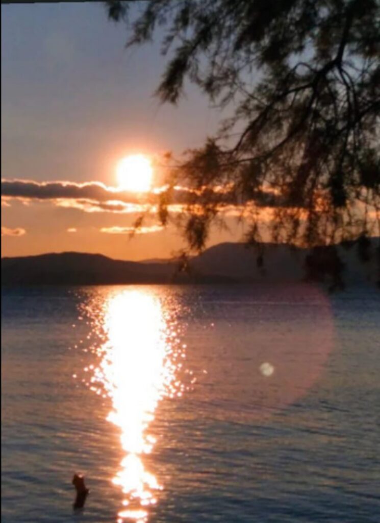 Μύτικας Αιτωλοακαρνανίας