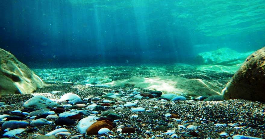 Έρευνα για μαργαριτοφόρα όστρακα στον Ευβοϊκό κόλπο