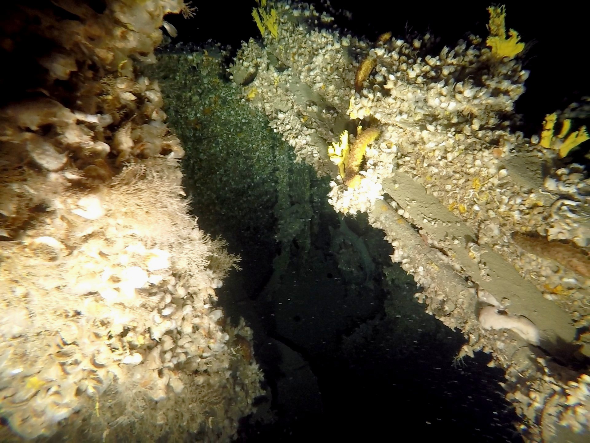 It was found on a submarine in the Aegean Sea that sank in 1942 (photos)