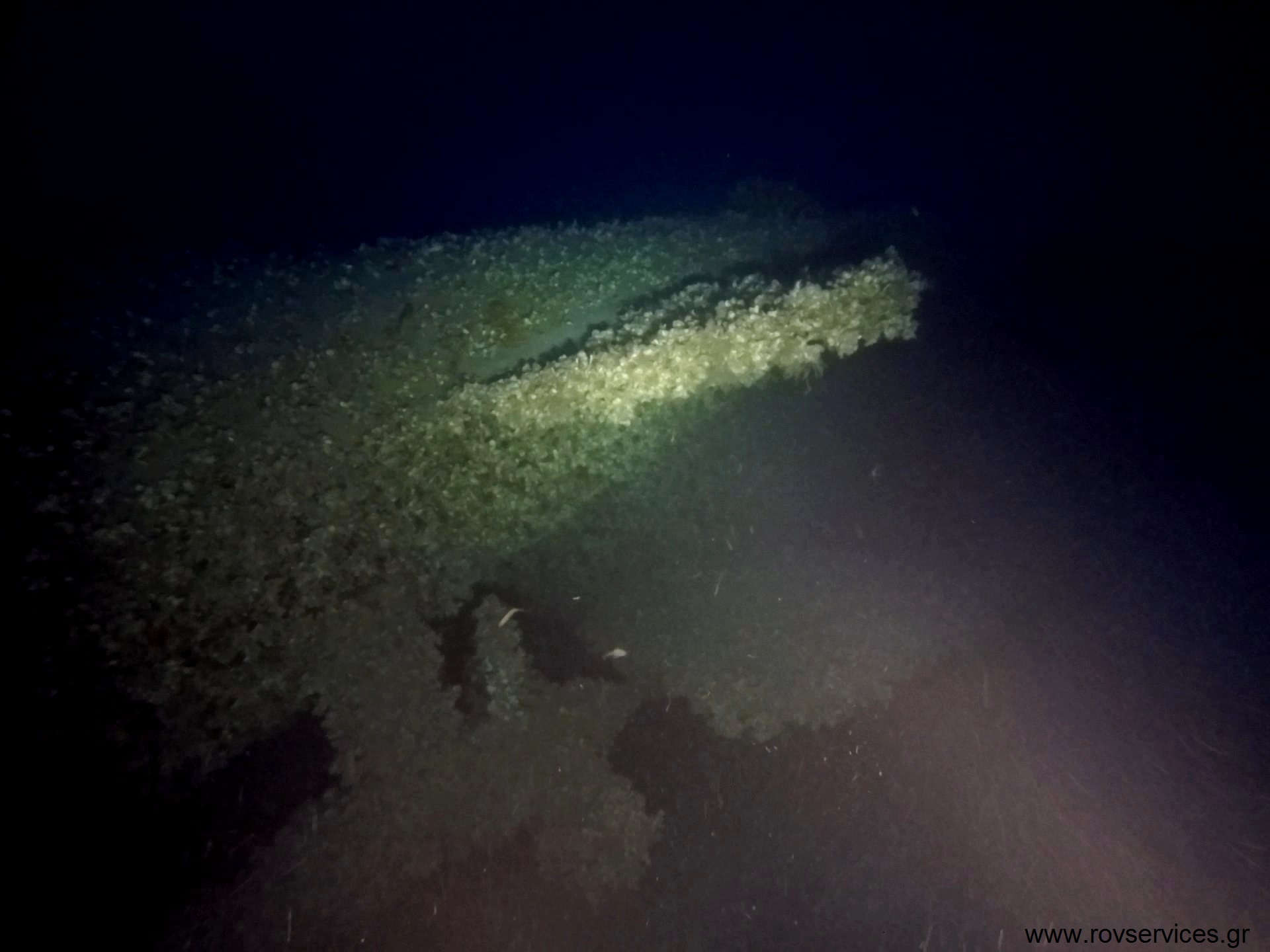 It was found on a submarine in the Aegean Sea that sank in 1942 (photos)