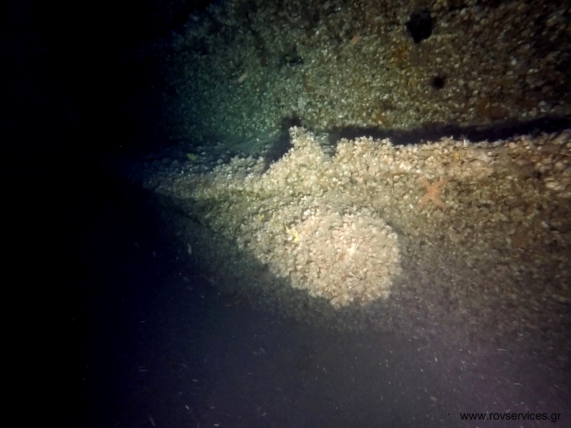 It was found on a submarine in the Aegean Sea that sank in 1942 (photos)