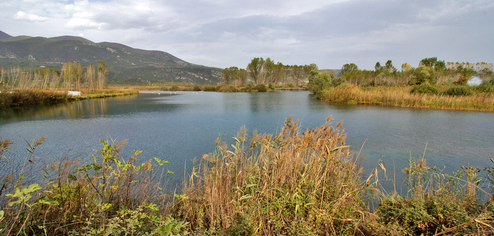 Ο υδροβιότοπος της λίμνης Άγρα στην Πέλλα