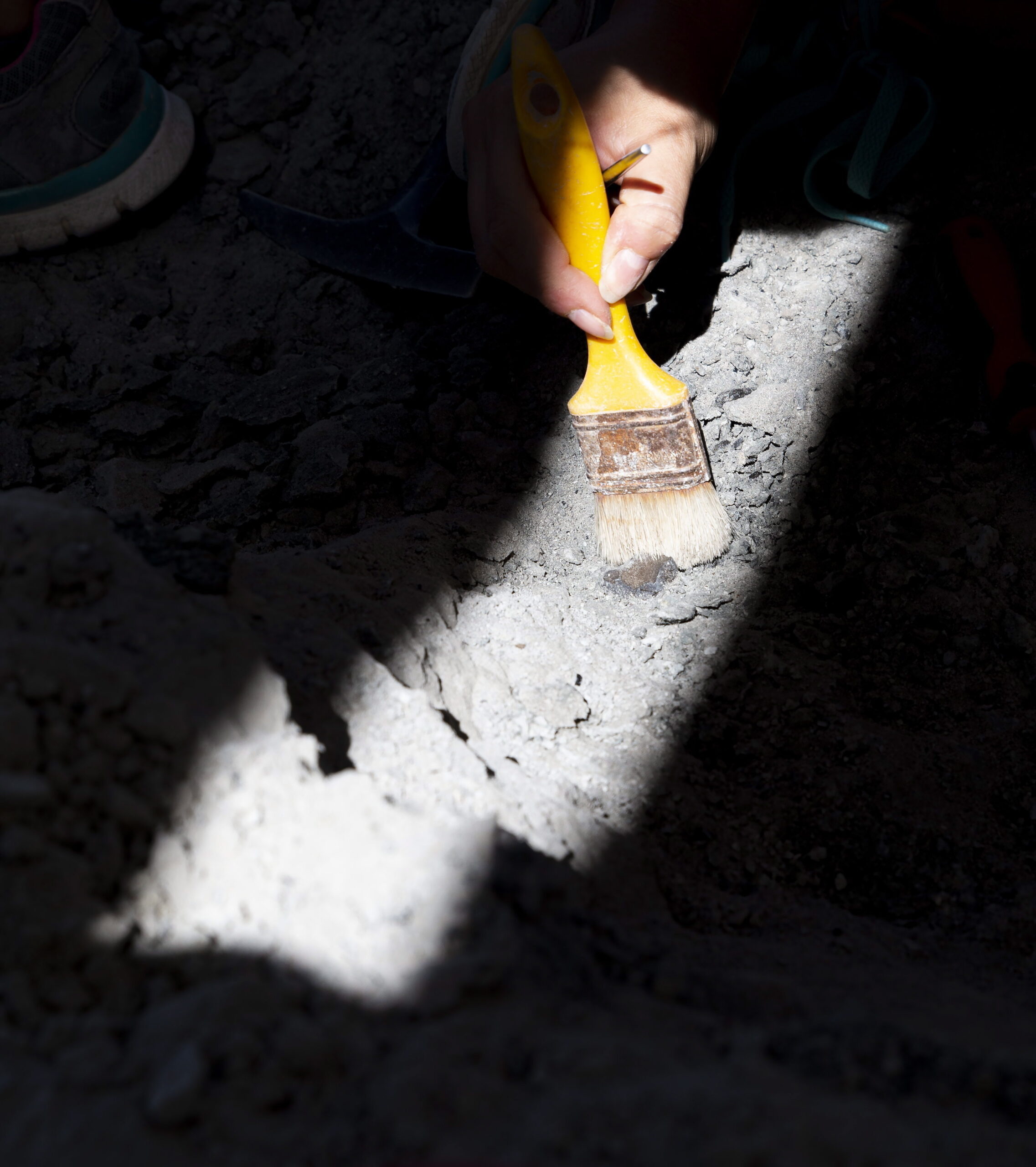 Excavation site in the Bakony Mountains