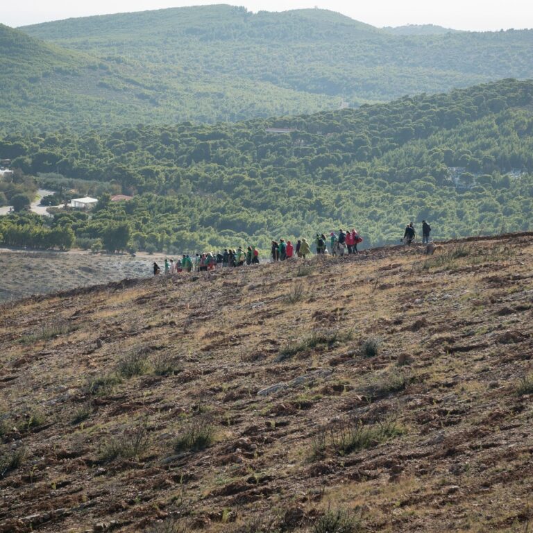 WWF Greece: Παγκόσμια Ημέρα Περιβάλλοντος – Φύτεψε τώρα ένα δέντρο στο Σούνιο