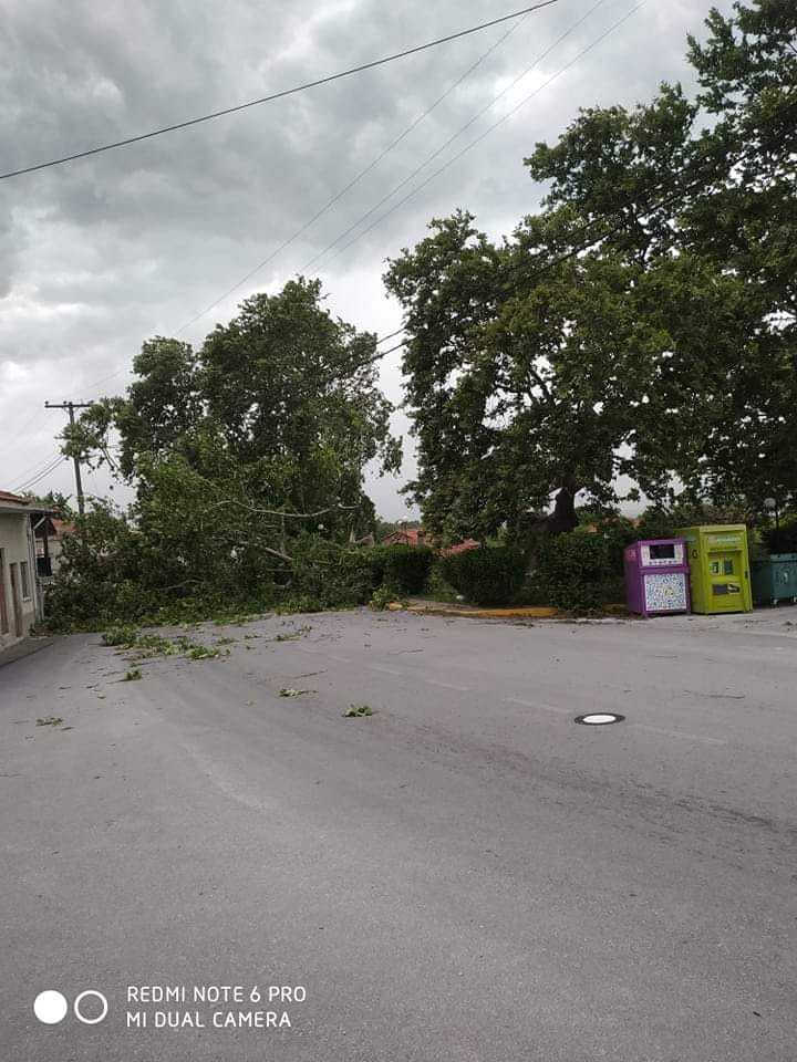 Κακοκαιρία στο Βελβεντό: Πτώσεις δέντρων στην εθνική οδό – Χωρίς ρεύμα η πόλη