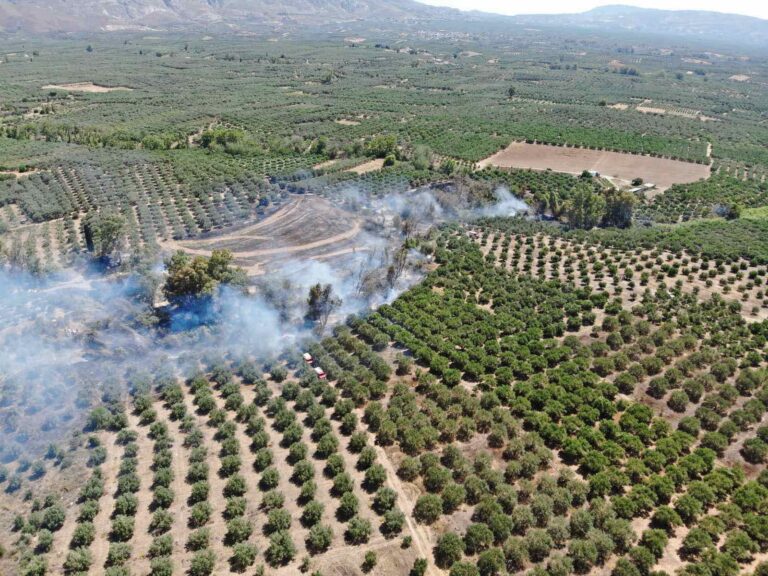 Ηράκλειο: Υπο μερικό έλεγχο η πυρκαγιά στο Διονύσι (φωτό-βίντεο)