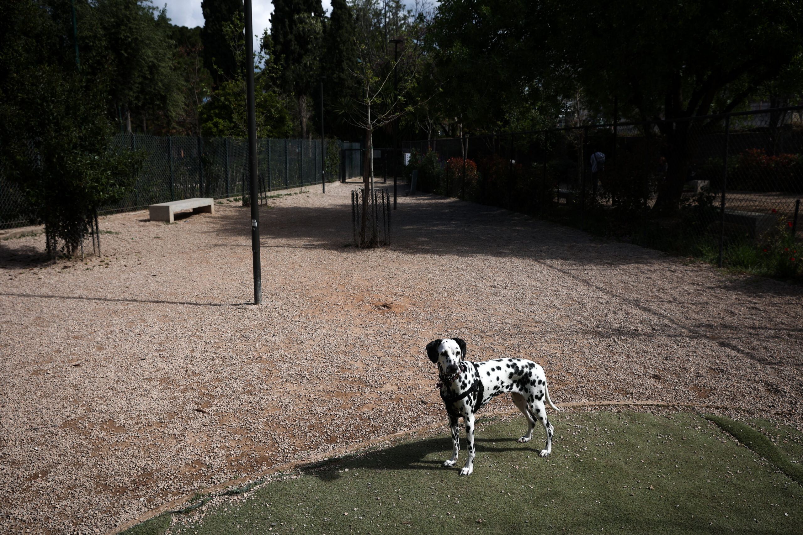 Θεσσαλονίκη: Του ξέφυγε ο σκύλος και δάγκωσε 76χρονο