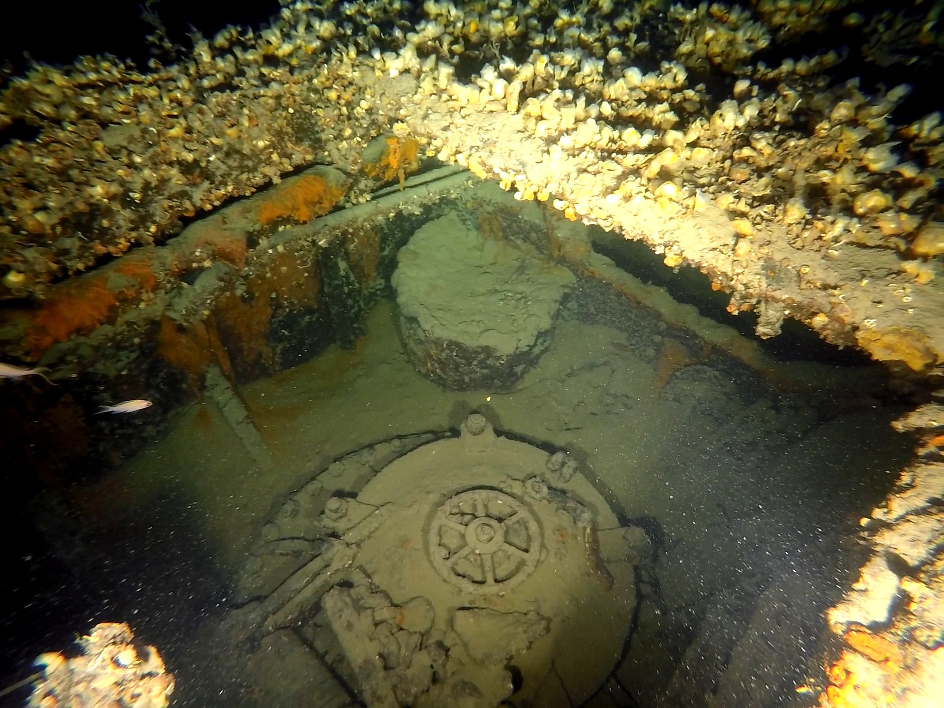 It was found on a submarine in the Aegean Sea that sank in 1942 (photos)