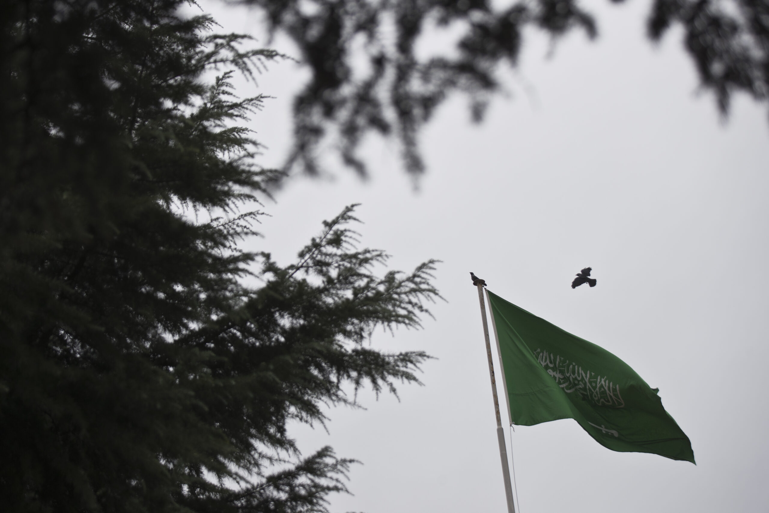Turkey Saudi Arabia Missing Writer