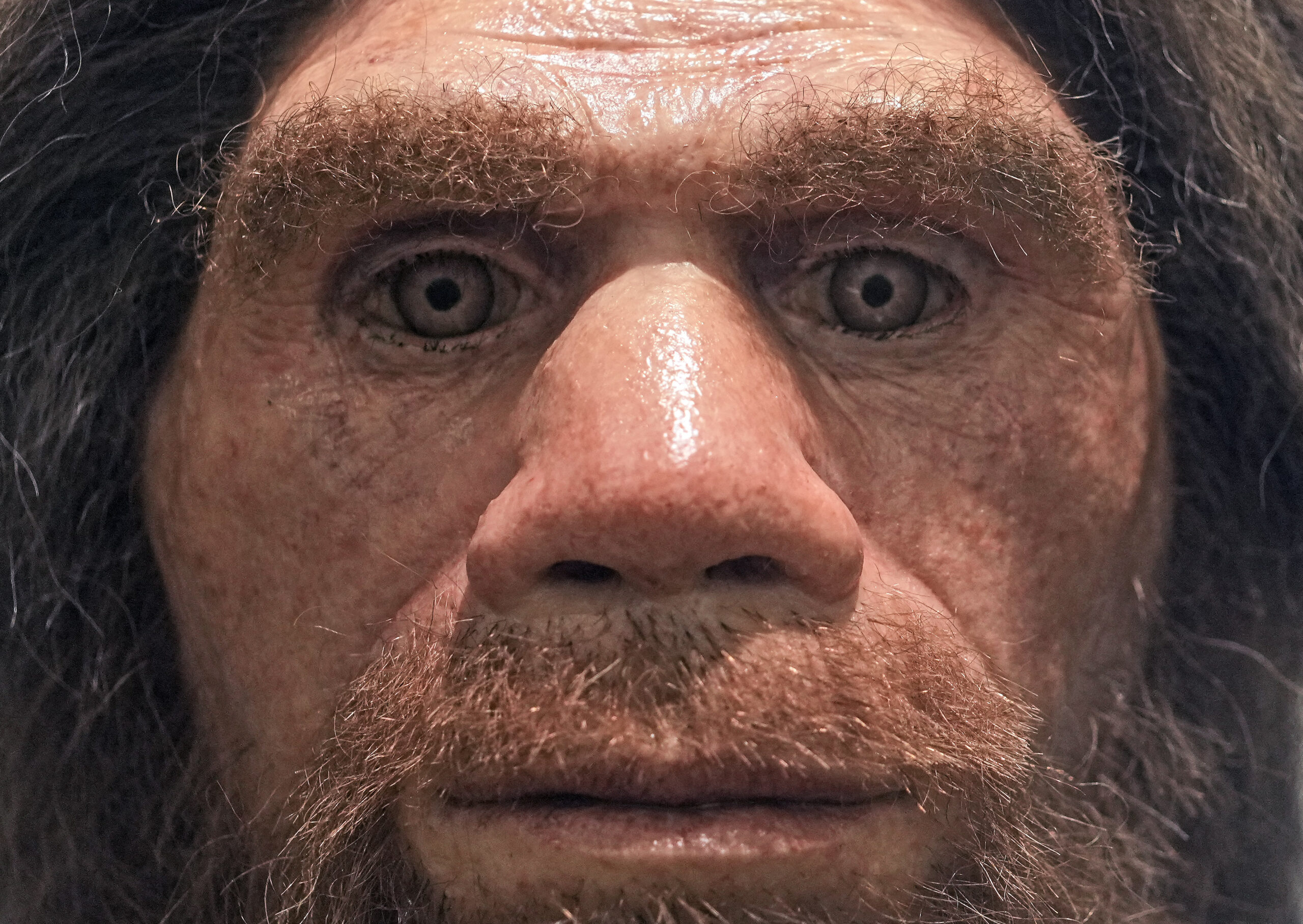 Germany Neanderthal Man