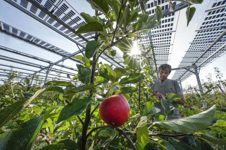 ΕΕ: Αυξάνεται η έκταση που χρησιμοποιείται για βιολογική γεωργική παραγωγή – Έφτασε τα 15,9 εκατομμύρια εκτάρια