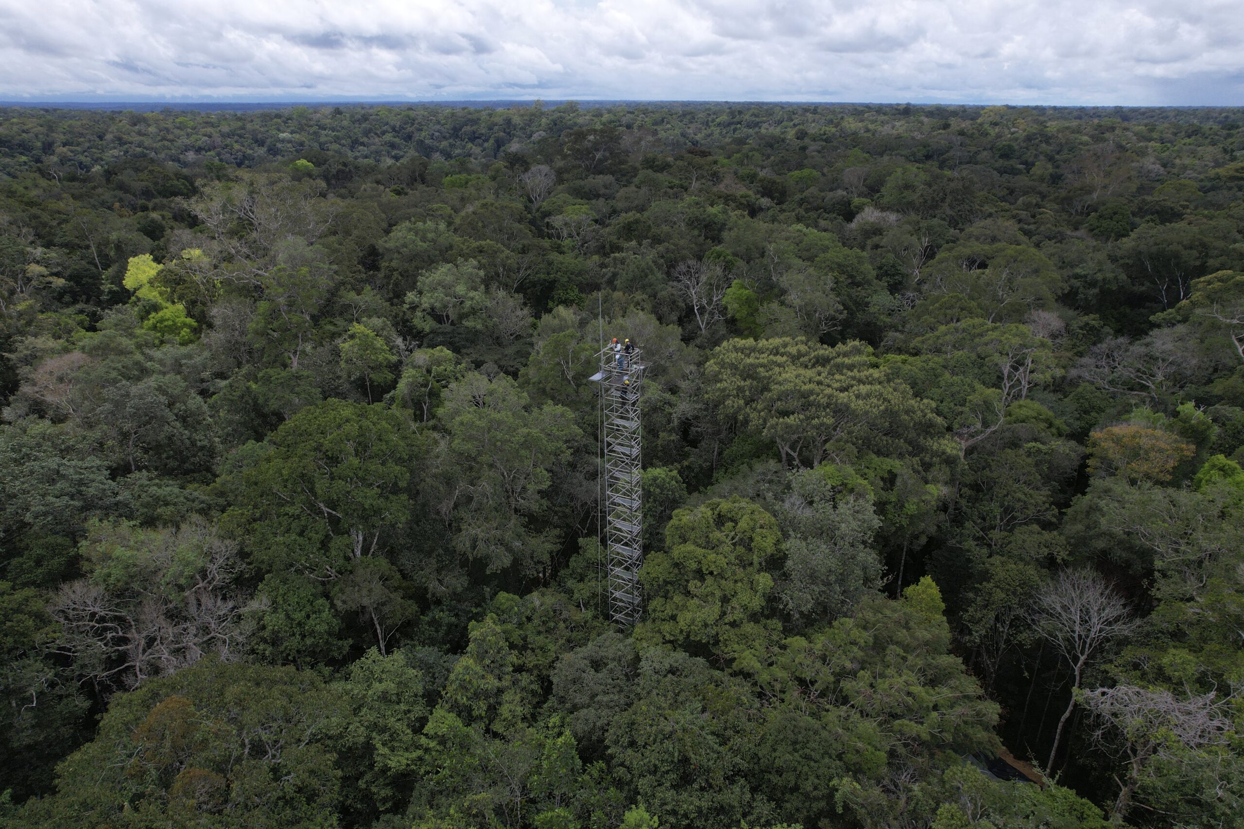 Βραζιλία: Μειώθηκε κατά 31% η αποψίλωση του τροπικού δάσους του Αμαζονίου