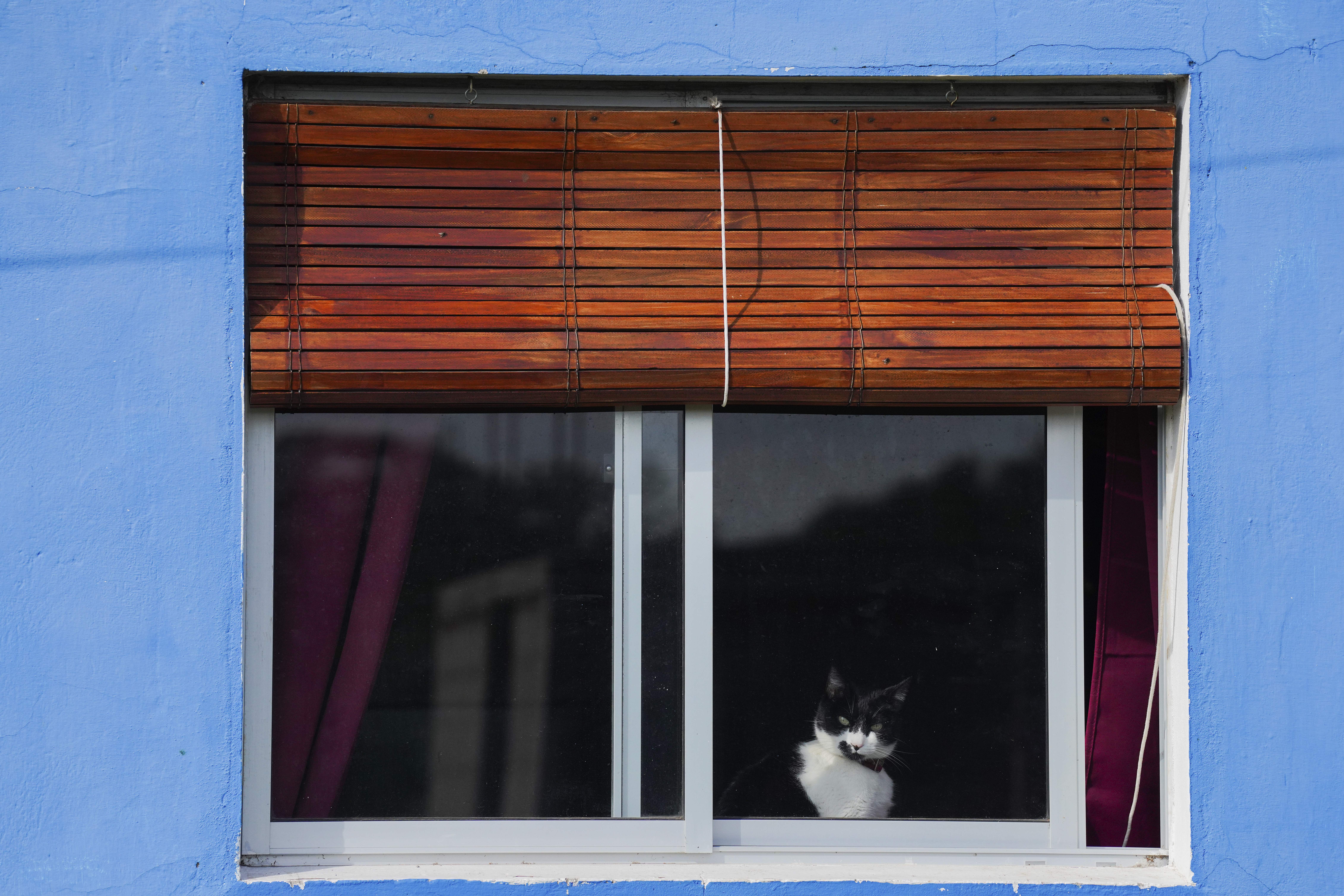Uruguay Daily Life