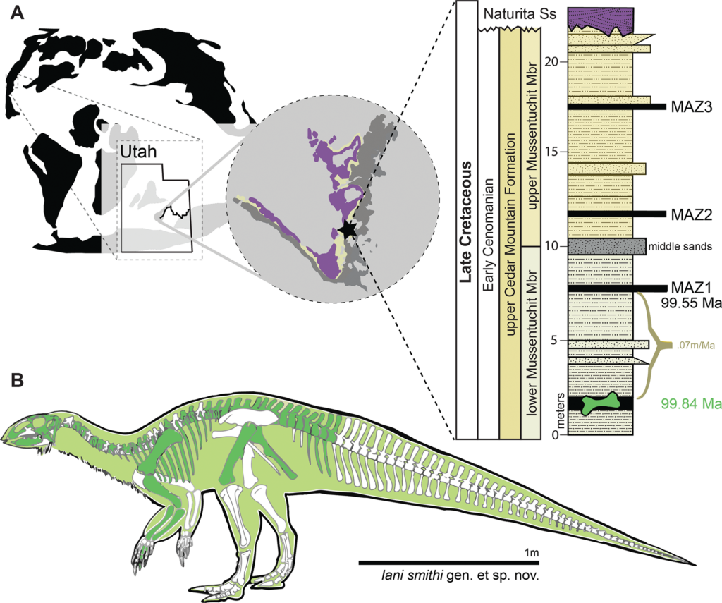 Νέο είδος δεινόσαυρου στη Γιούτα ρίχνει φως σε μία περίοδο μεγάλων περιβαλλοντικών αλλαγών