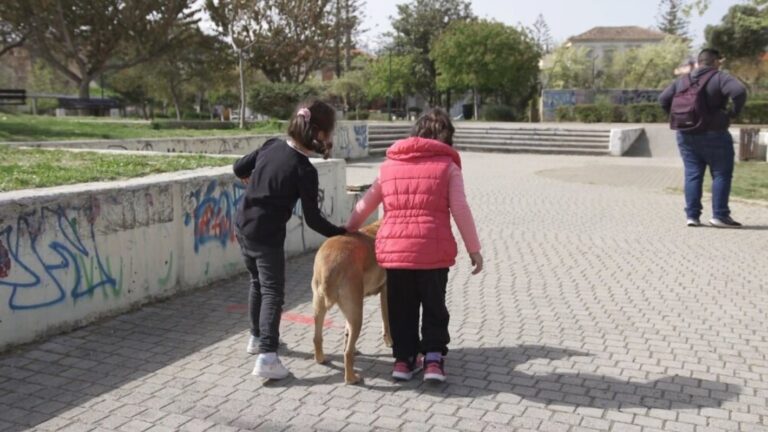 Τρία βραβεία για ταινίες Χανιώτικων σχολείων στο «Cinema διάβασες;»