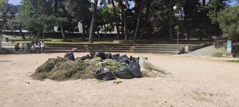 Ευπρεπισμός του Άλσους από ΚΕΘΕΑ και Δήμο Ιωαννίνων