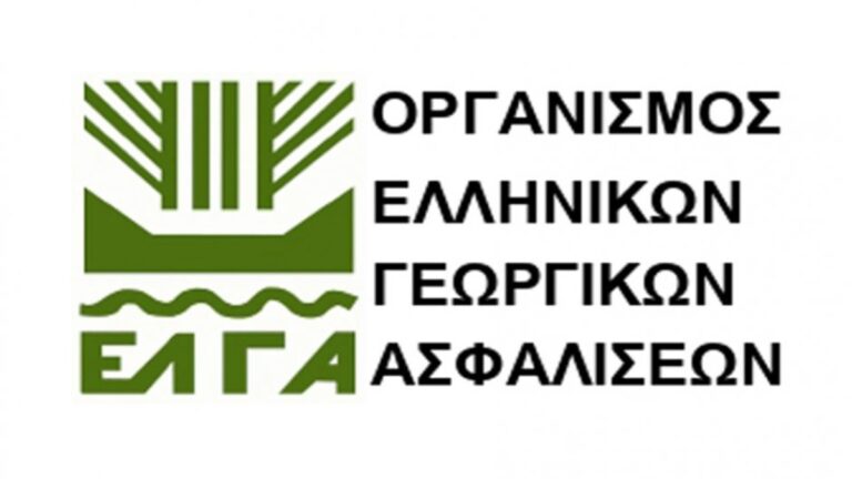 Ο ΕΛΓΑ για ζημιές Μαΐου – Ιουνίου σε νεοσπαρθείσες καλλιέργειες βάμβακος