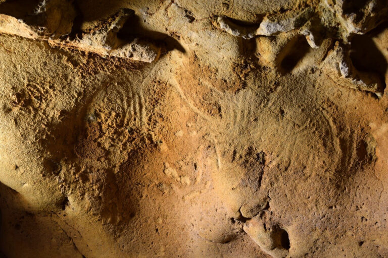 Βραχογραφίες σε γαλλικό σπήλαιο που χρονολογούνται πριν από 57.000 χρόνια αποδίδονται στους Νεάντερταλ