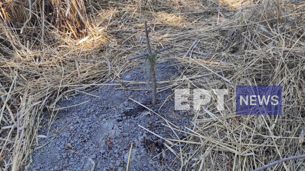 Δολοφονία 27χρονης – Κως: Δίωξη και για βιασμό στον 32χρονο από το Μπαγκλαντές – Παραιτήθηκε ο συνήγορός του