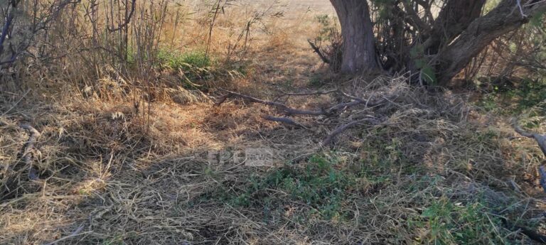 Κως: Δίωξη για ανθρωποκτονία από πρόθεση θα ασκηθεί στον 32χρονο από το Μπαγκλαντές (video)