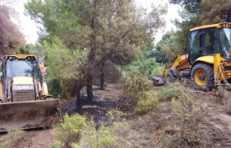 Καίγεται πευκοδάσος στον Μουρτιά Πηλίου – Εντολή για εναέρια μέσα