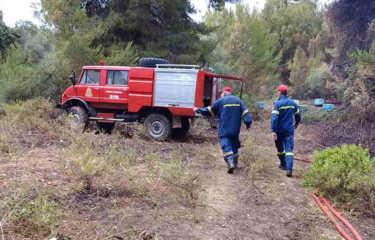 Βόλος: Υπο έλεγχο η μεγάλη πυρκαγιά στον Μουρτιά Πηλίου