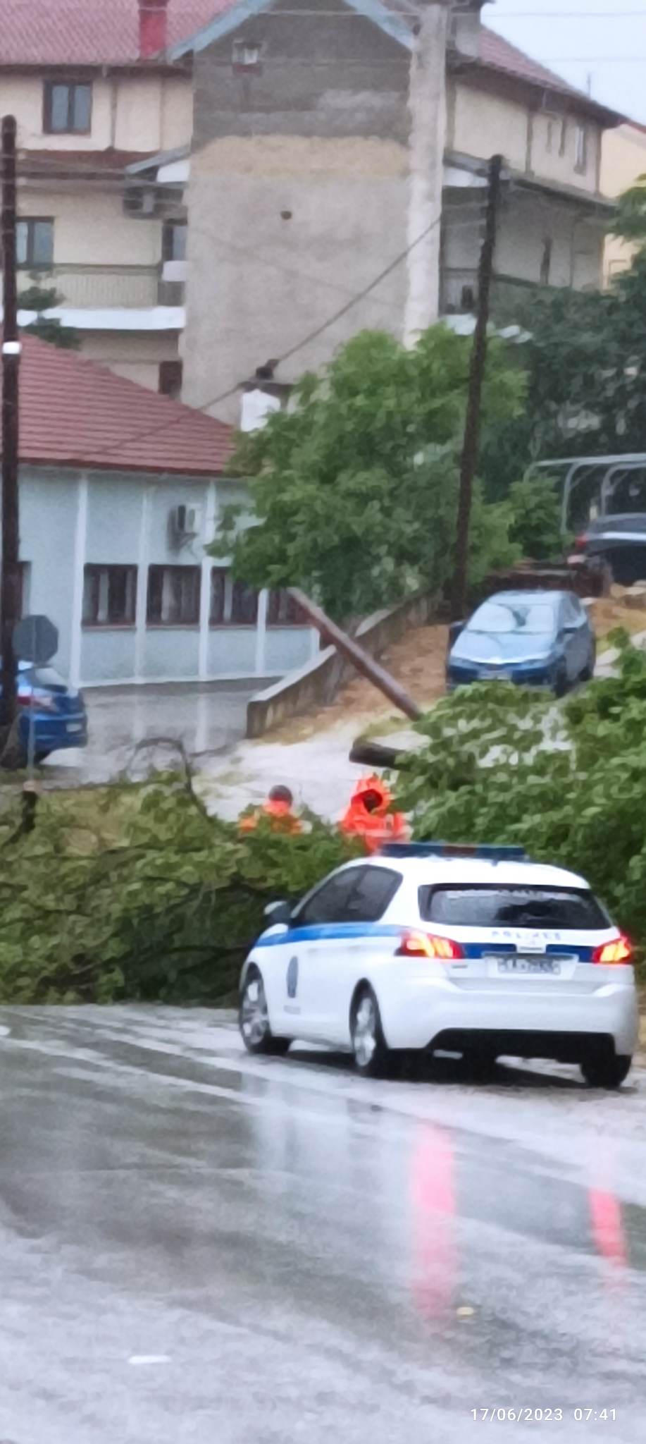 Φλώρινα: Πτώση δέντρου σε κεντρική οδό λόγω έντονων καιρικών φαινομένων (βίντεο)