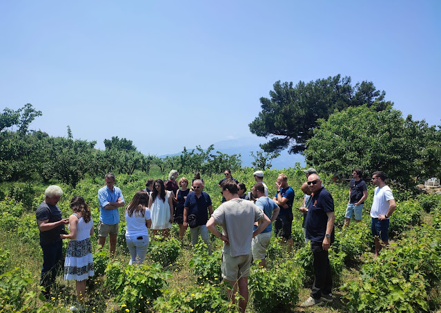 Η Σάμος φιλοξένησε διεθνώς καταξιωμένους Sommelier Η Σάμος φιλοξένησε διεθνώς καταξιωμένους Sommelier