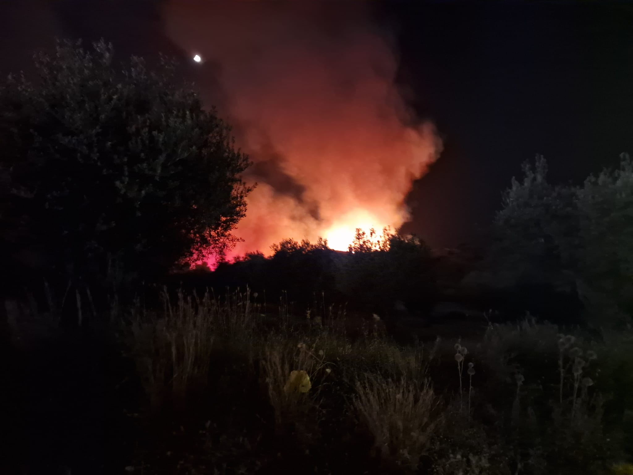 Ρόδος: Υπό έλεγχο η φωτια στ’ Αφάντου