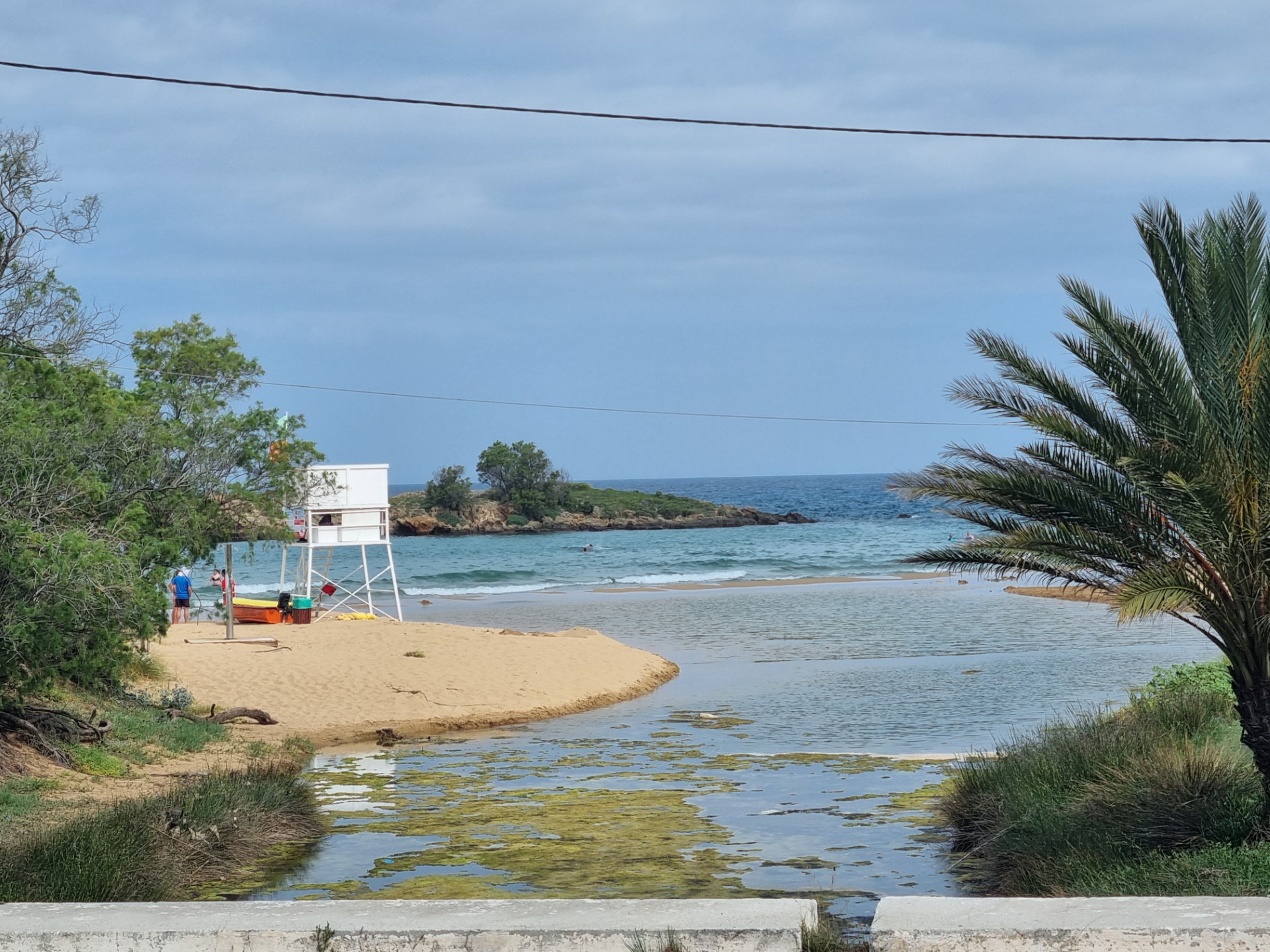 Παρέμβαση για την προστασία των αμμόλοφων και του υγρότοπου στην παραλία του Καλαθά στο Ακρωτήρι Χανίων