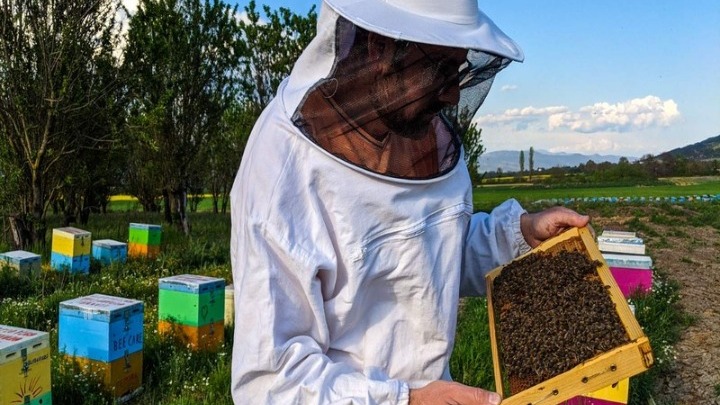 Μειωμένη κατά 70% η παραγωγή μελιού στην Κ. Μακεδονία λόγω των βροχοπτώσεων