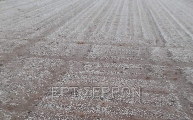 Βισαλτία: Συνεχίζεται η διαδικασία για  αποζημιώσεις μετά τις καταστροφές από τη χαλαζόπτωση του Σαββάτου