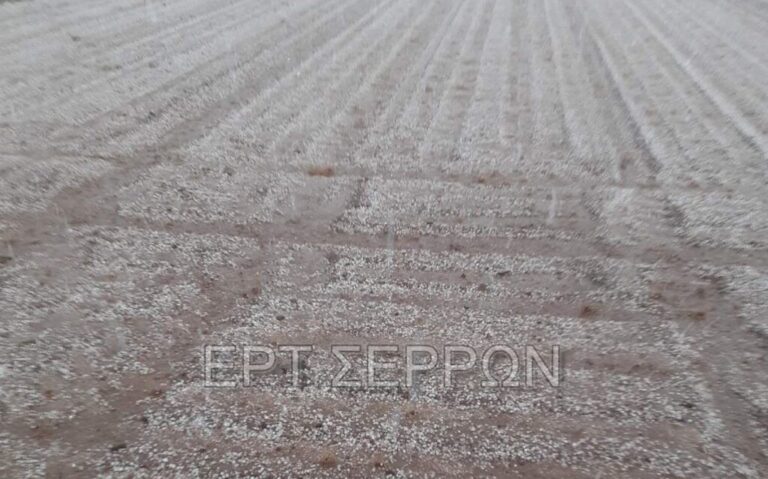 Βισαλτία: Συνεχίζεται η διαδικασία για  αποζημιώσεις μετά τις καταστροφές από τη χαλαζόπτωση του Σαββάτου