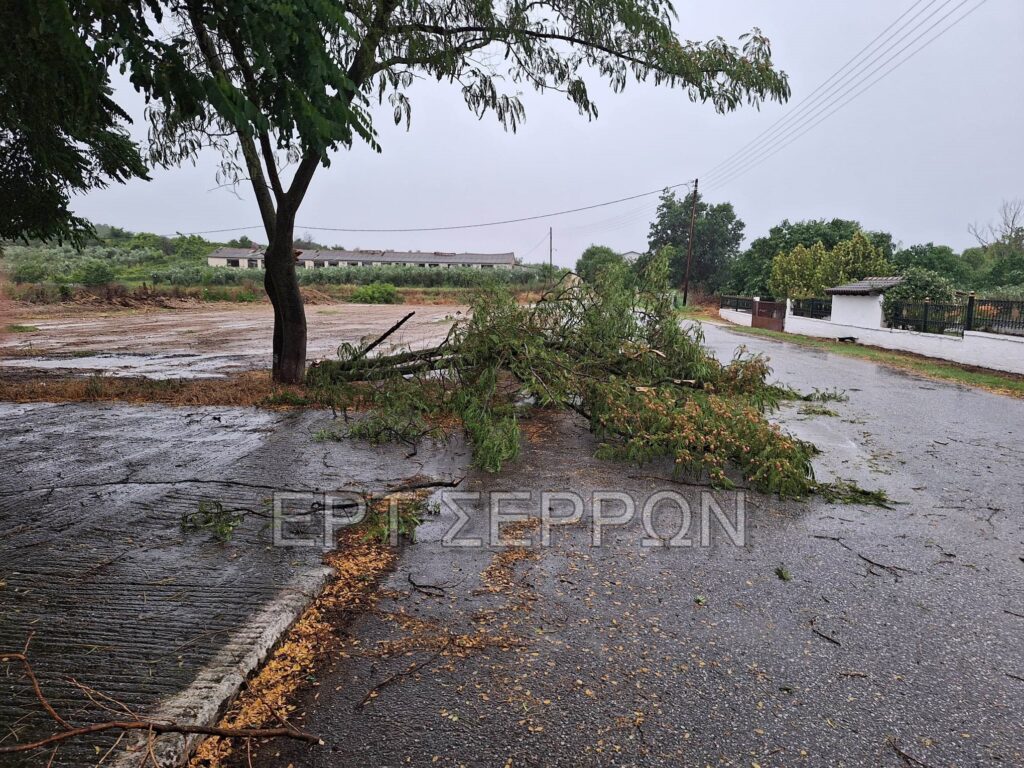 Σέρρες: Δυνατό μπουρίνι σάρωσε τον Νομό- Ξεχείλωσαν φρεάτια, δεκάδες κλήσεις στην Πυροσβεστική (video)