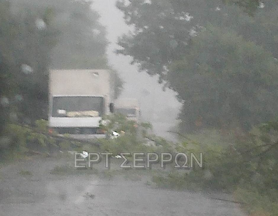 Σέρρες: Δυνατό μπουρίνι σάρωσε τον Νομό- Ξεχείλωσαν φρεάτια, δεκάδες κλήσεις στην Πυροσβεστική (video)