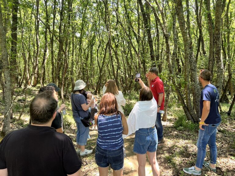Ισραηλινοί δημοσιογράφοι γνώρισαν τις ομορφιές της Ζίτσας