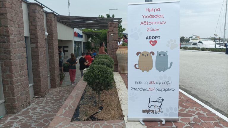 Λέσβος: Υιοθέτησε μην αγοράσεις, στείρωσε μη ζευγαρώσεις