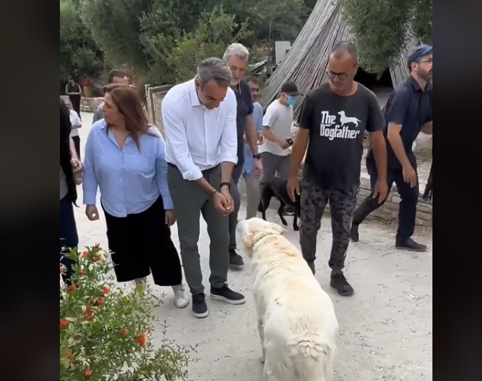 Κυρ. Μητσοτάκης – Νέο βίντεο στο TikTok: «Ο Πίνατ εγκρίνει!»