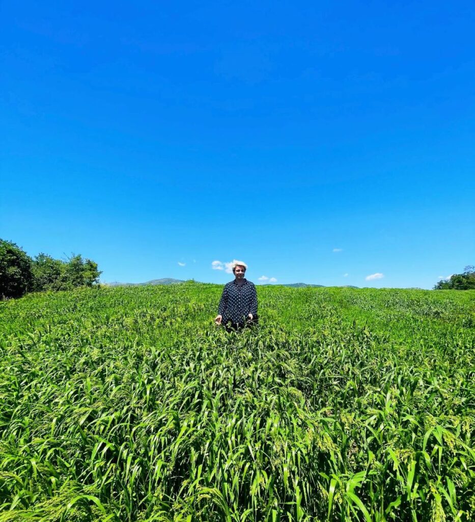 Στη Δεσκάτη Γρεβενών μια νέα αγρότισσα καλλιεργεί κεχρί