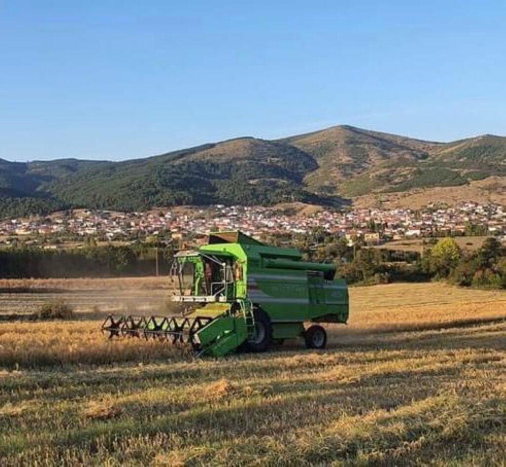 Στη Δεσκάτη Γρεβενών μια νέα αγρότισσα καλλιεργεί κεχρί